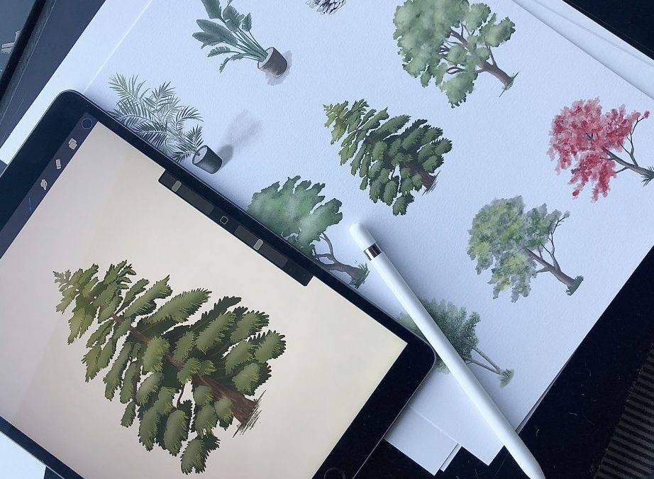 Procreate Illustration Plants Botanical