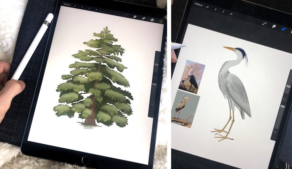 Digital Drawing with Procreate