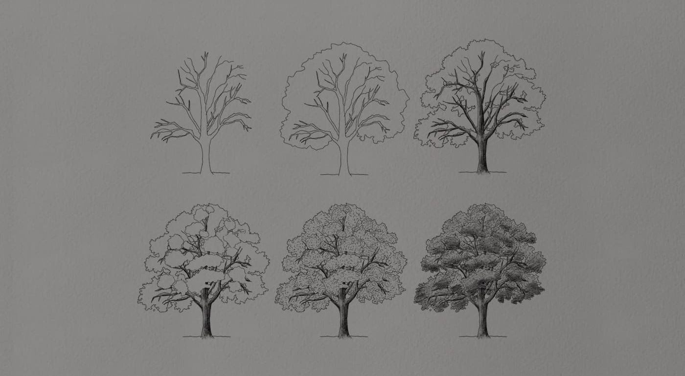 how to draw trees