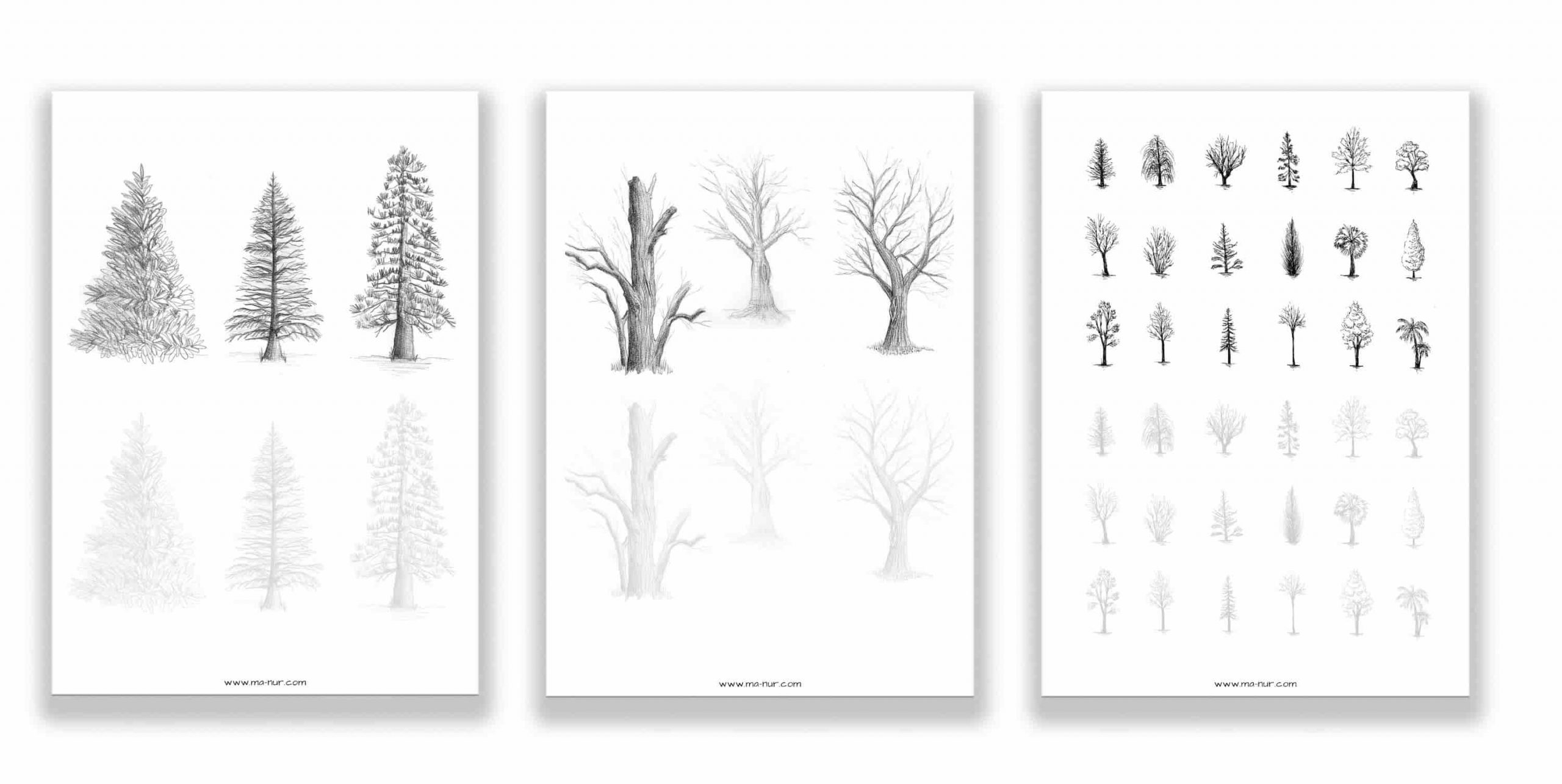 trees drawing